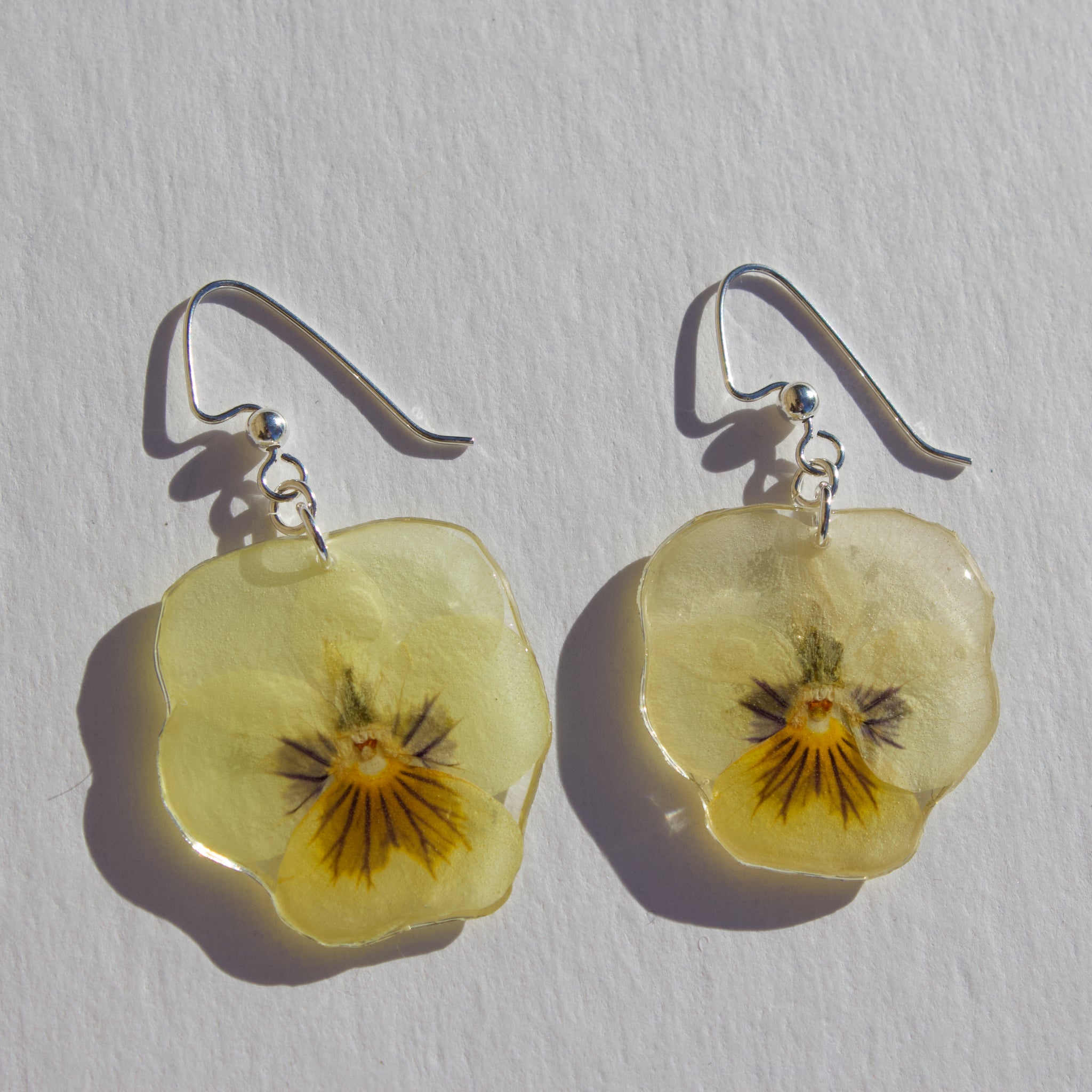 pale yellow pansy